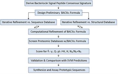 Discovery of Novel Type II Bacteriocins Using a New High-Dimensional Bioinformatic Algorithm